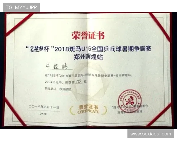 乒乓球速度排行榜揭晓深圳乒乓球队荣获第三名佳绩 乒乓球速度排行榜揭晓深圳乒乓球队荣获第三名佳绩
