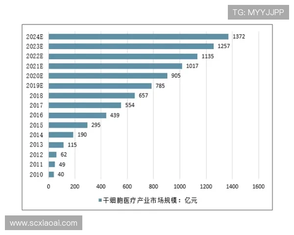上海排球队的转型之路与未来发展趋势分析 上海排球队的转型之路与未来发展趋势分析