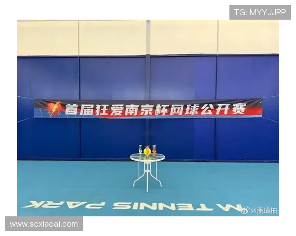 南京网球队荣登全国网球状态排行榜第三名展现强劲实力 南京网球队荣登全国网球状态排行榜第三名展现强劲实力