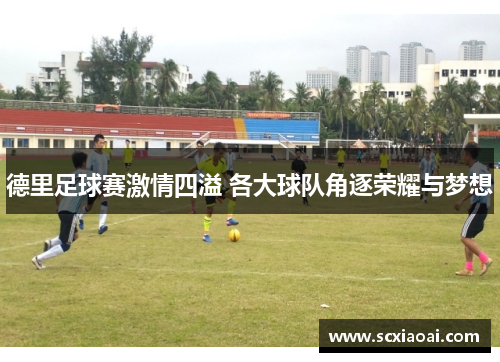 德里足球赛激情四溢 各大球队角逐荣耀与梦想