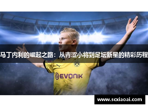 马丁内利的崛起之路：从青涩小将到足坛新星的精彩历程